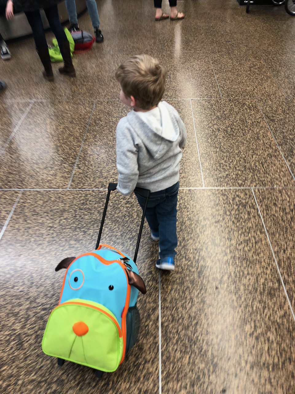 Atticus on the trip home